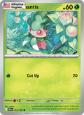 Fomantis — Inglés