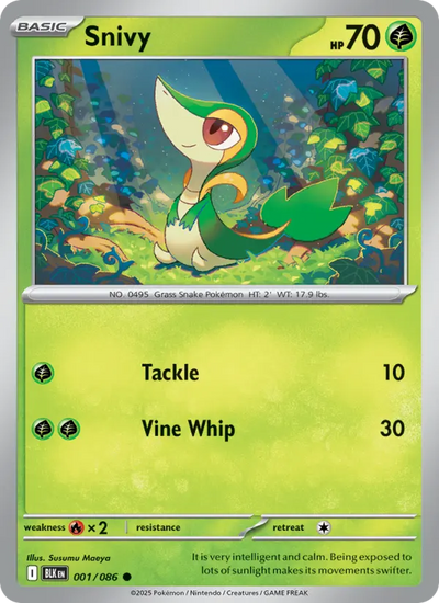 Snivy (001) — Black Bolt
