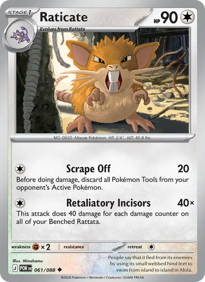 Raticate (061) — Perfect Order
