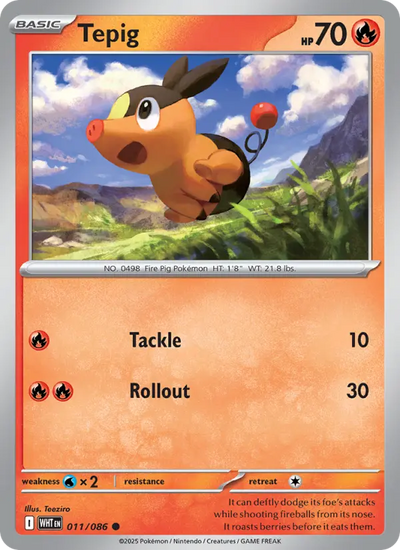Tepig (011) — White Flare