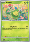 Budew (016) — Ascended Heroes