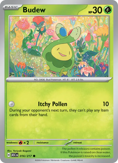Budew (016) — Ascended Heroes