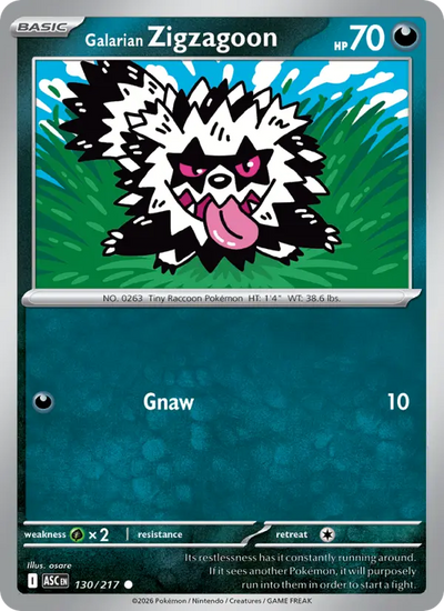 Galarian Zigzagoon (130) — Ascended Heroes