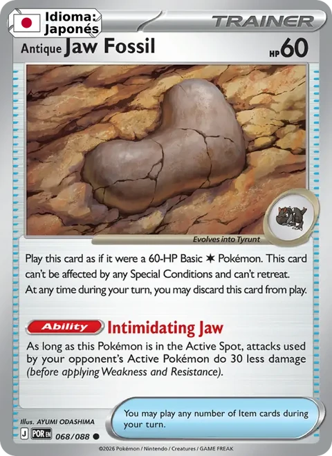 Antique Jaw Fossil (068) — Perfect Order