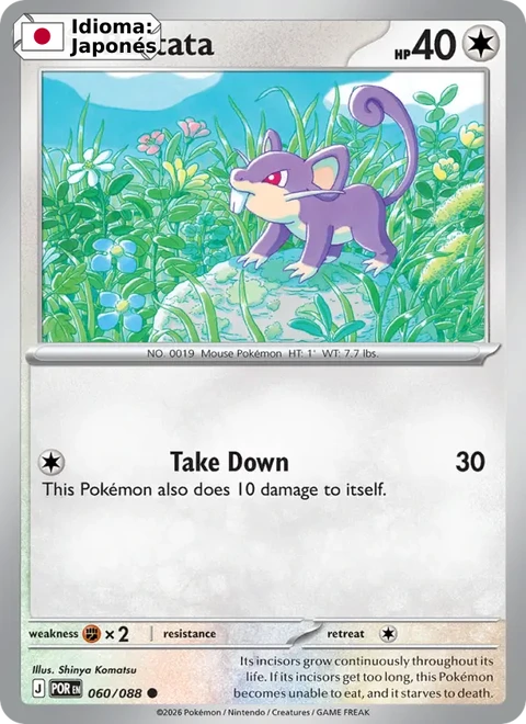Rattata (060) — Perfect Order