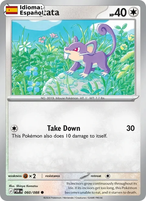 Rattata (060) — Perfect Order