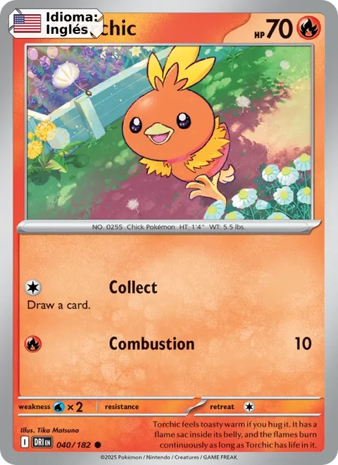 Torchic (040) — Destined Rivals