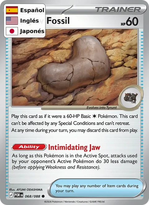 Antique Jaw Fossil (068) — Perfect Order