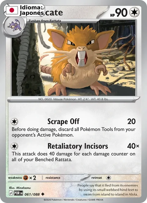 Raticate (061) — Perfect Order